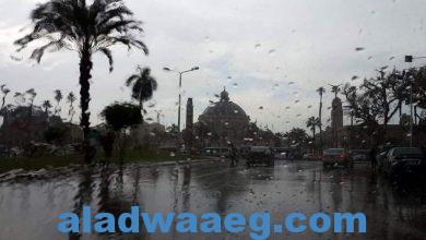 صورة هل تتعرض مصر لإعصار “نيهال” المدمر أول أيام العيد