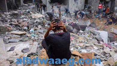 صورة مصدر مصري رفيع المستوى: تقدم ملحوظ في التوافق حول النقاط الخلافية بشأن الهدنة في غـ ـزة