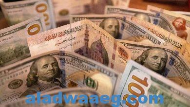 صورة الدولار يرتفع أمام الجنيه في مصر