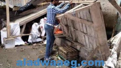 صورة محافظة الشرقية تستقبل مواطنيها وزائريها بتكثيف أعمال النظافة