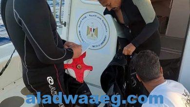 صورة فؤاد..تتابع حادث جنوح ناقلة الغاز الليبيرية بمدخل خليج العقبة
