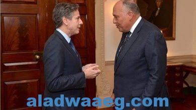 صورة وزير الخارجية المصري يبحث مع نظيره الأمريكي التوتر في المنطقة ويؤكد ضرورة وقف الحـ ـرب في غـ ـزة