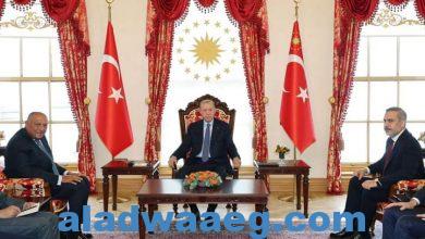 صورة رئيس الجمهورية التركية يستقبل وزير الخارجية خلال زيارته لإسطنبول