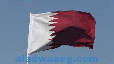 صورة قطر توجه تنبيها عاجلا لرعاياها الراغبين بزيارة مصر