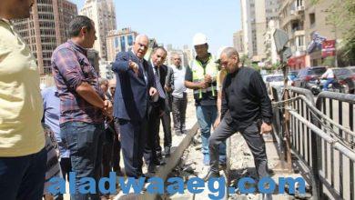 صورة راشد… يتفقد أعمال التطوير بمحيط محطة مترو الانفاق بجامعة الدول العربية