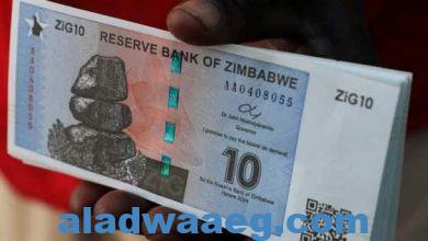 صورة زيمبابوى تداول عملة جديدة لتحل محل العملة المحلية الدولار