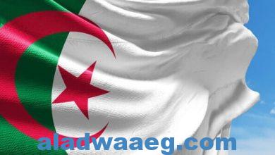 صورة الجزائر تُحذر من خطورة أي هجوم بري إسرائيلي على رفح الفلسطينية
