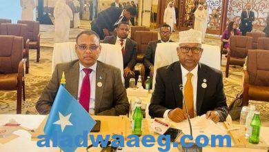 صورة وزير الخارجية الصومالي يدعو لدعم الاستثمار في بلاده ويطالب نظرائه بدعم الصومال للتصدي للتدخلات الإثيوبية في شئونه الداخلية