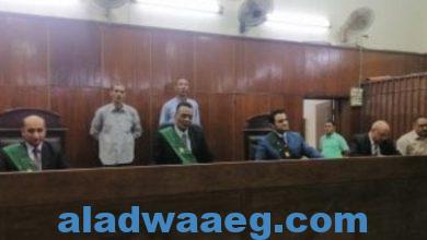 صورة جنايات القاهرة تأجل النطق بالحكم على المتهم بتعذيب وقتل الطفلة مكة بالسلام لدور يونيو