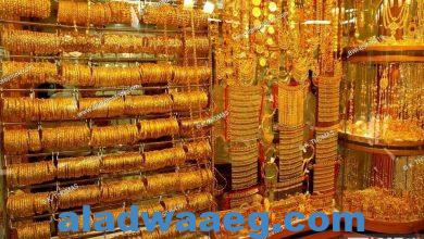 صورة مستشار وزير التموين يكشف عن توقعاته حول أسعار الذهب
