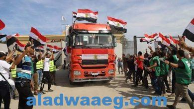 صورة الحكومة المصرية: 80٪ من إجمالي المساعدات الإنسانية إلى قطاع غـ ـزة قدمتها مصر