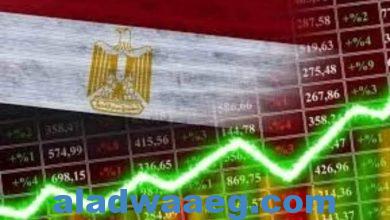 صورة تقرير يكشف نجاحات مصر في شراكتها الاقتصادية مع الإمارات