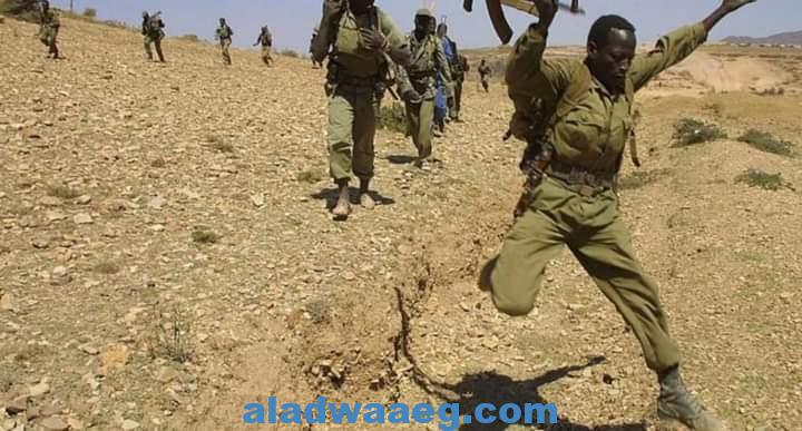 العفو الدولية تكشف عن مجزرة ارتكبها جنود إريتريين