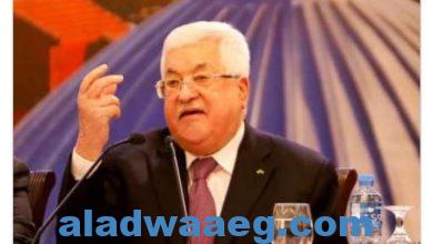 صورة الرئاسة الفلسطينية ترحب بقرار فتح التحقيق في جرائم الحرب طبقا لقرار الجنائية الدولية