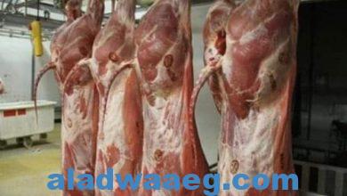 صورة أسعار اللحوم الحمراء اليوم بالأسواق ومحلات الجزارة