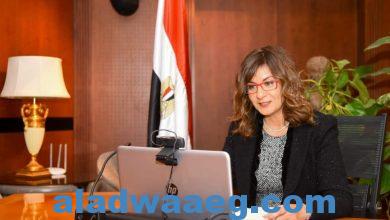 صورة وزيرة الهجرة تعقد الاجتماع الثالث لمبادرة «مصرية بـ100 راجل» بمشاركة رئيسة المجلس القومي للمرأة