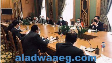 صورة انعقاد جلسة مشتركة مصرية باكستانية بمقر الخارجية المصرية
