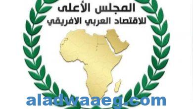 صورة تدشين المجلس الأعلى للإقتصاد العربي الإفريقي وسط تفاؤل