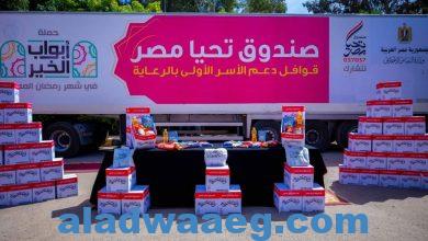 صورة صندوق تحيا مصر يوفر 105 أطنان مواد غذائية ودواجن لـ 8 آلاف أسرة بالبحيرة
