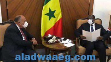 صورة رحلات مكوكية لسامح شكري ورسائل الرئيس السيسي للرئيس السنغالي