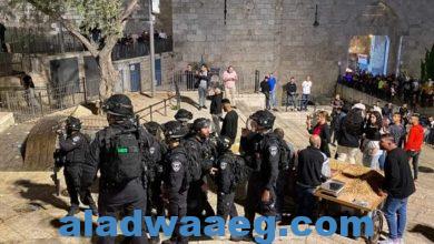 صورة قوات الاحتلال الإسرائيلي تهاجم مئات الفلسطينيين في باب العامود