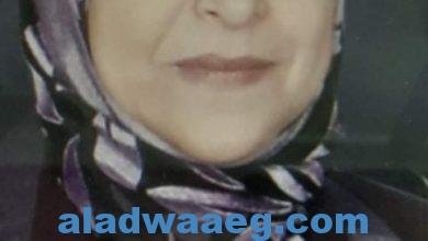 صورة امين عام المراة بالصقور المصرية: المرأة المصرية تساند بلادها ضد الإرهاب بعزيمة لا تلين