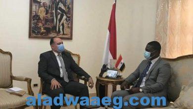 صورة السفير المصري في كوناكري يلتقي مع مدير عام وكالة تنمية الاستثمار في غينيا