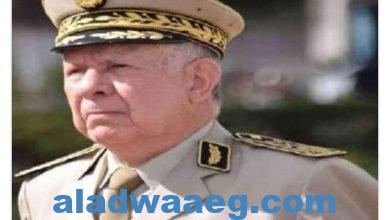 صورة قائد الجيش الجزائري: ما يجرى فى محيط حدودنا يشكل باعثا لمضاعفة الحذر