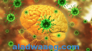 صورة فيروس ” نيباه” Nipah Virus