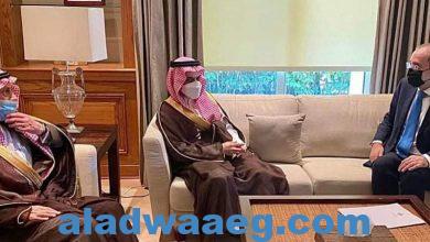 صورة وزير الخارجية يستقبل نظيره السعودي