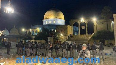 صورة المنتدى الإسلامي الأوروبي يدين العدوان الإسرائيلي على القدس والمسجد الأقصى