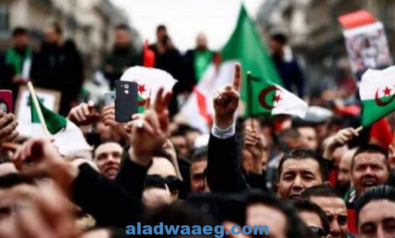 الأمم المتحدة قلقة "لتدهور حقوق الإنسان في الجزائر