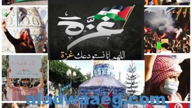 صورة هنا نابل/ الجمهورية التونسية         مسيرة دعم و تضامن مع الشعب الفلسطيني