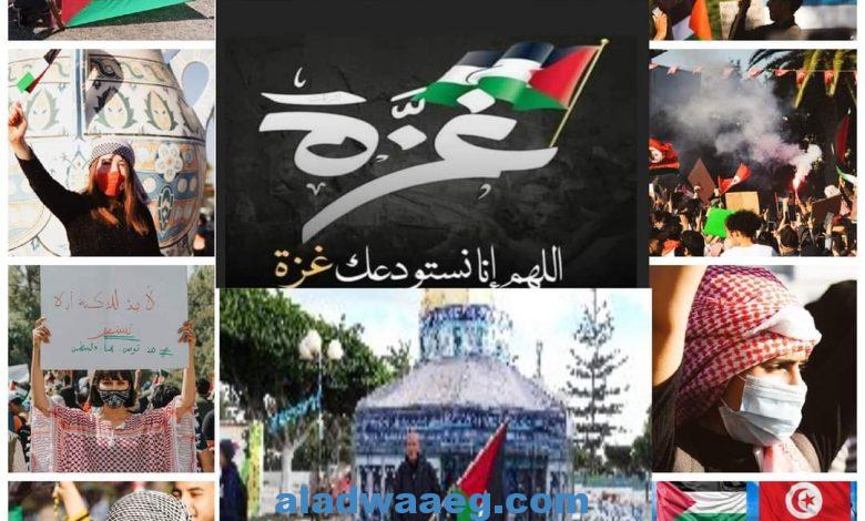 هنا نابل/ الجمهورية التونسية     مسيرة دعم و تضامن مع الشعب الفلسطيني