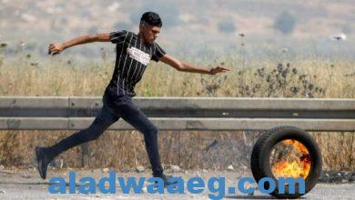 صورة متحدث باسم نتنياهو: يريدون أن تكون غزة مثل سوريا واليمن