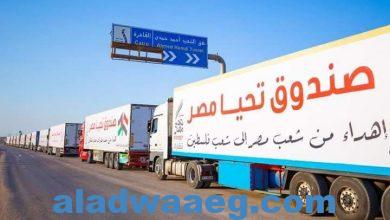 صورة قافلة صندوق تحيا مصر تعبر نفق الشهيد أحمد حمدي في الطريق لقطاع غزة