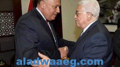 صورة مصر، دور فعّال وريادي في القضية الفلسطينيّة