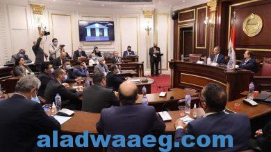 صورة الدكتور/ عمرو طلعت وزير الاتصالات وتكنولوجيا المعلومات يستعرض استراتيجية مصر الرقمية أمام مجلس الشيوخ