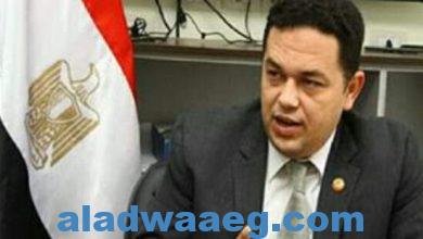 صورة أيسم صلاح: الدولة المصرية شهدت طفرة في المجال الصحي