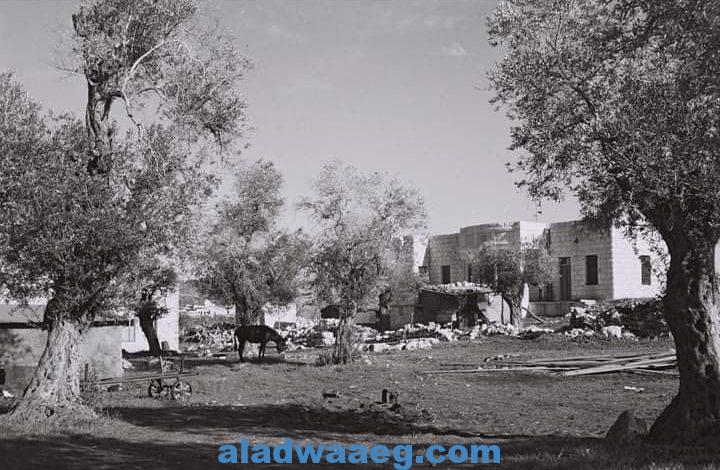 قرية السميرية المهجرة قضاء مدينة عكا 1932