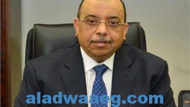 صورة وزير التنمية المحلية : مصر تسعى لتعزيز استراتيجية الاقتصاد الأخضر والاعتماد على الطاقة النظيفة