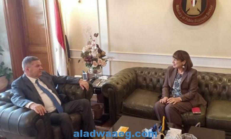 وزير قطاع الأعمال العام يستقبل المنسق المقيم للأمم المتحدة في مصر