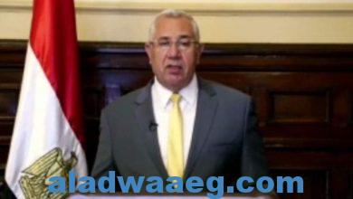 صورة وزير الزراعة يلقي كلمة مصر أمام الأمم المتحدة في الحوار رفيع المستوى بشأن التصحر