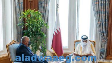 صورة وزير الخارجية يُسلم أمير دولة قطر رسالة من السيد رئيس الجمهورية