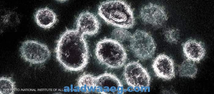 صورة مجهرية لفيروس كورونا المسبب لمرض كوفيد-19. 3.2مليار دولار لتطوير دواء كورونا