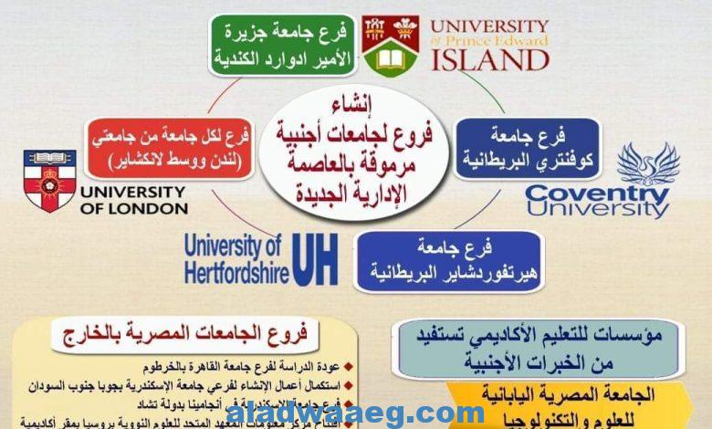 وزارة التعليم العالي :التوسع في إنشاء فروع لجامعات أجنبية مرموقة على أرض مصر