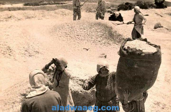 قرية الحدثة الفلسطينية المهجرة عام 1948