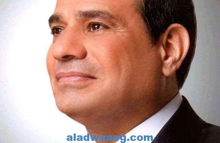 الرئيس السيسي يوجه بتحرك مصري سريع لتحقيق الاستقرار في المناطق الفلسطينية