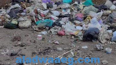 صورة في غياب محافظ دمياط القمامة تحاصر قرية” غيط النصاري