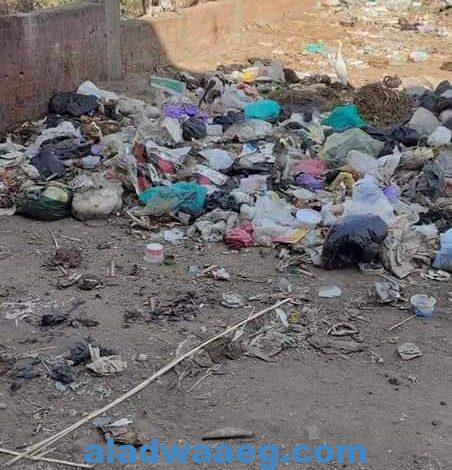 في غياب محافظ دمياط القمامة تحاصر قرية” غيط النصاري